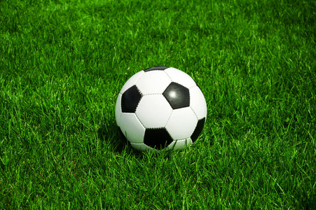 最全的篮球比分网二维码